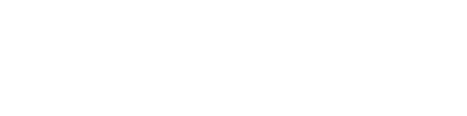 Namic_logo-white.png